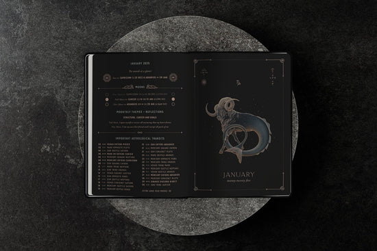 2025 Astrological Planner PREORDER 2 | bj008-black bj008-stone bj008-sage bj008-deepmoss bj008-mushroom