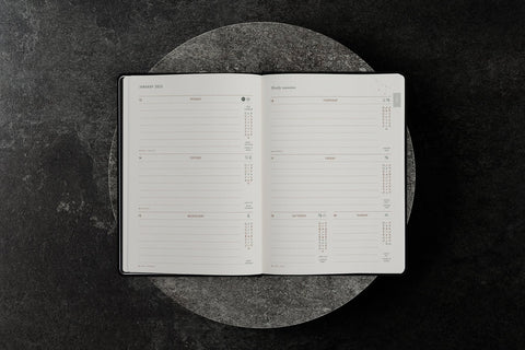 2025 Astrological Planner PREORDER