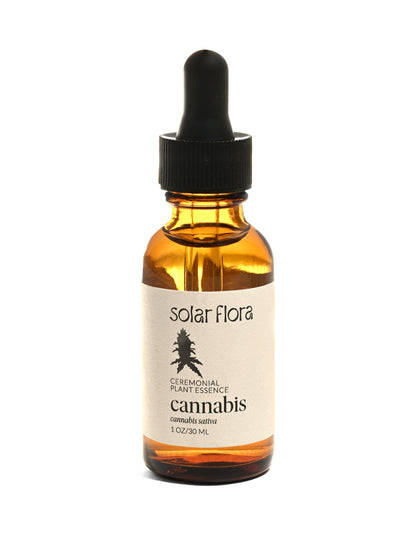 Ceremonial Plant Essence: Cannabis 1 | sf8