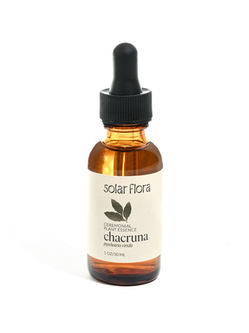 Ceremonial Plant Essence: Chacruna