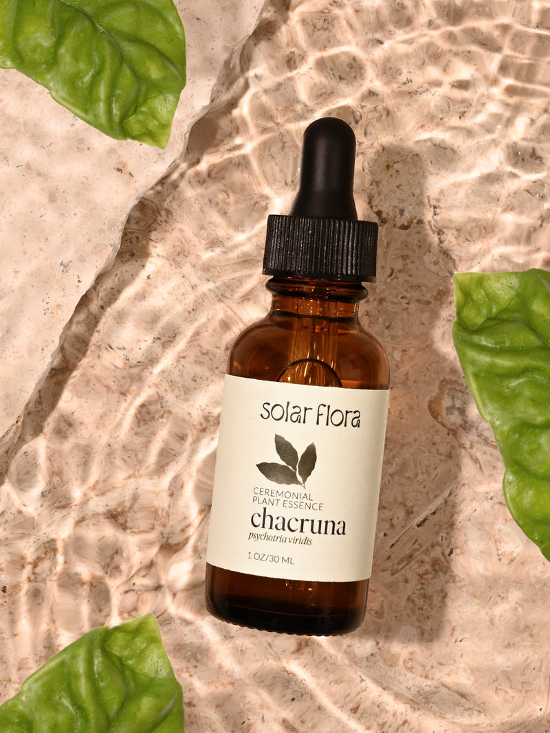 Ceremonial Plant Essence: Chacruna