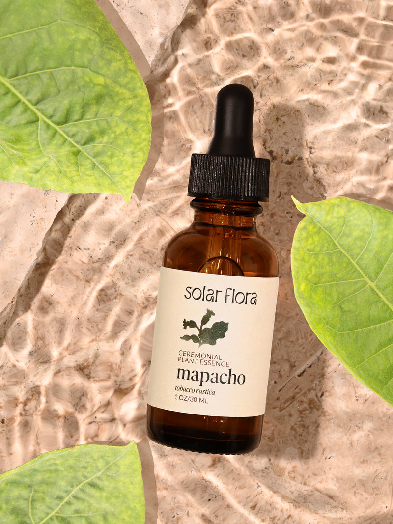 Ceremonial Plant Essence: Mapacho