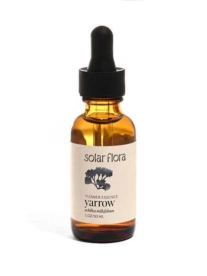 Flower Essence: Yarrow | sf10 | sf10-AF