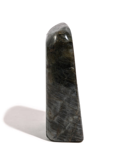 Labradorite Stone E | Cg956