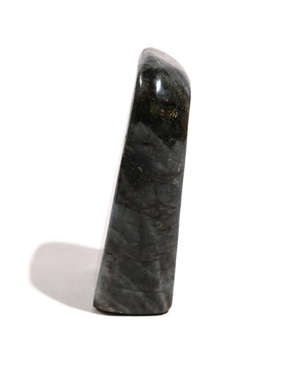 Labradorite Stone E 2 | Cg956